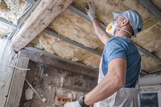 Best Residential Insulation Services  in Holliday, TX