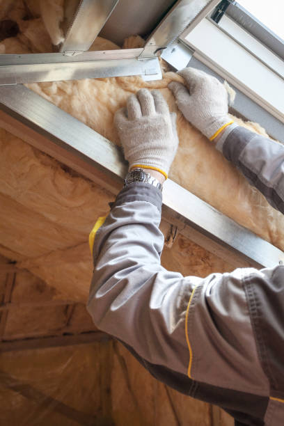 Best Insulation Replacement Services  in Holliday, TX