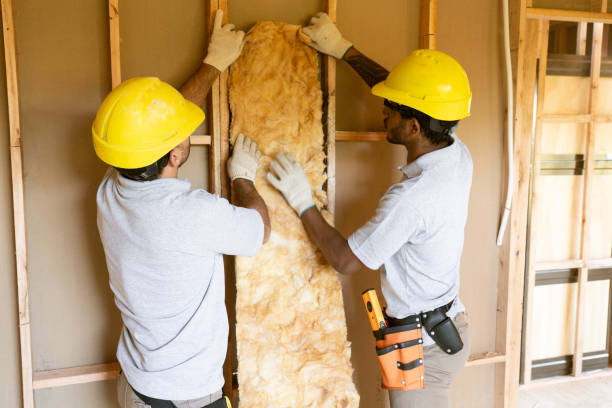Best Commercial Insulation Contractor  in Holliday, TX