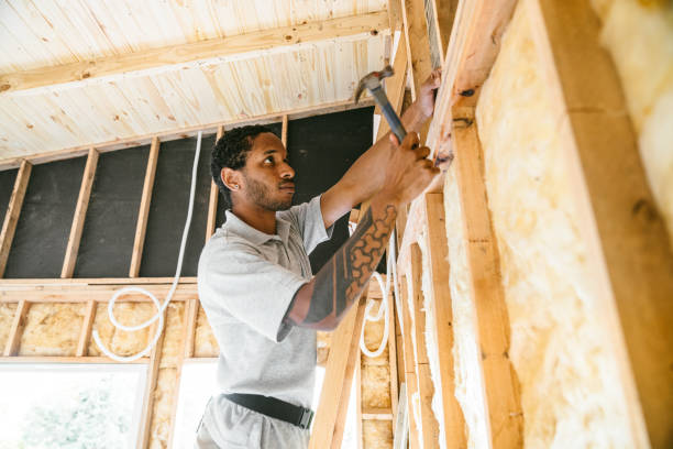 Best Insulation Inspection Services  in Holliday, TX