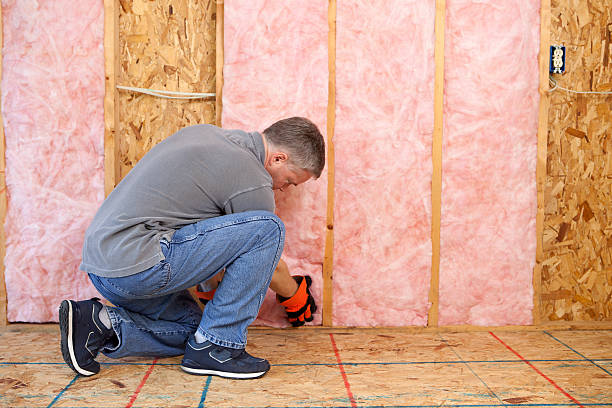 Best Best Insulation Companies  in Holliday, TX