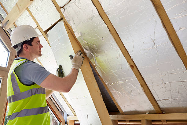 Best Spray Foam Insulation  in Holliday, TX